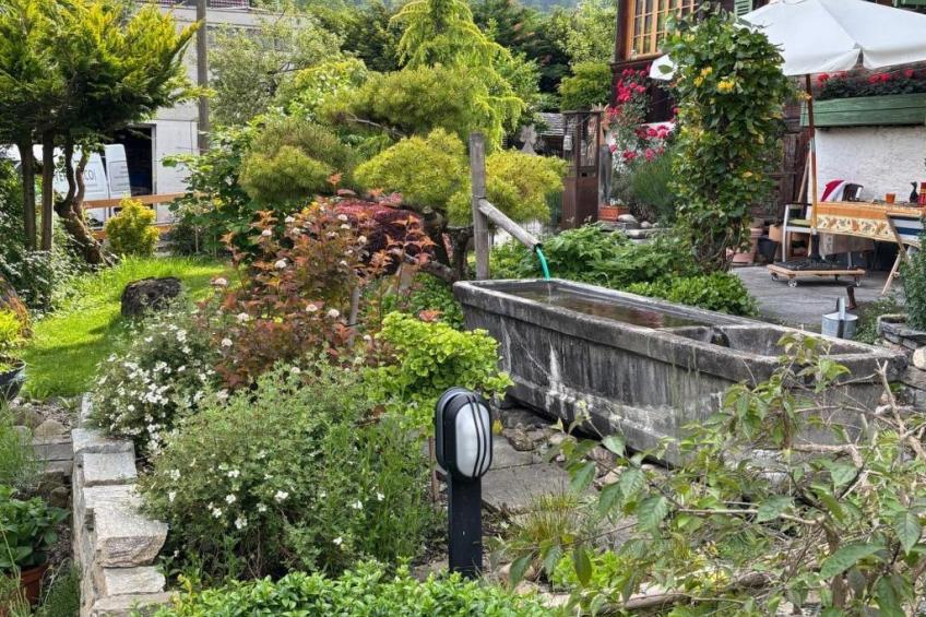 Gartenstudio "Belle Vue" - foto 17