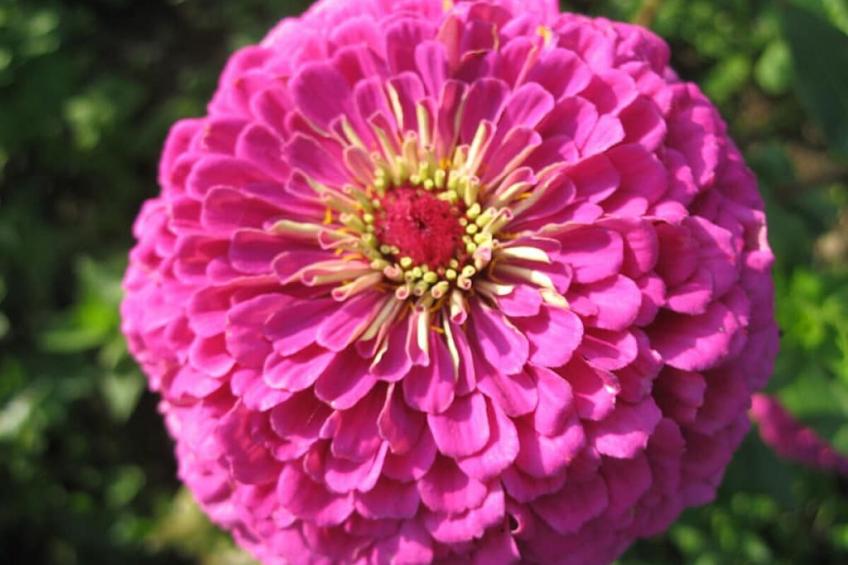 22067 - foto 20