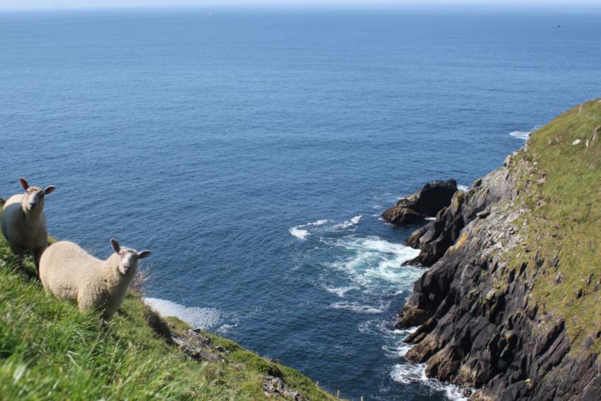 Dingle Bay View (TR2) - foto 7