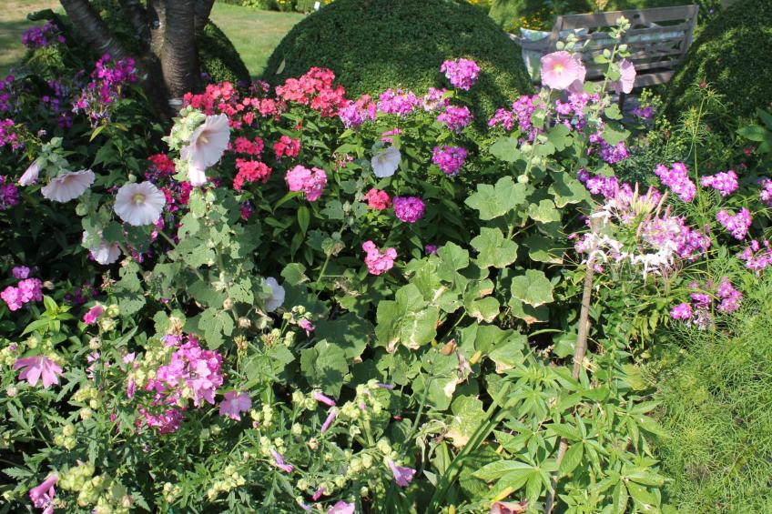 Appartement mit Wallbox - foto 26