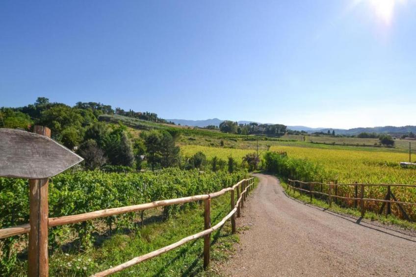 Podere Pulicciano Orciaia - foto 38