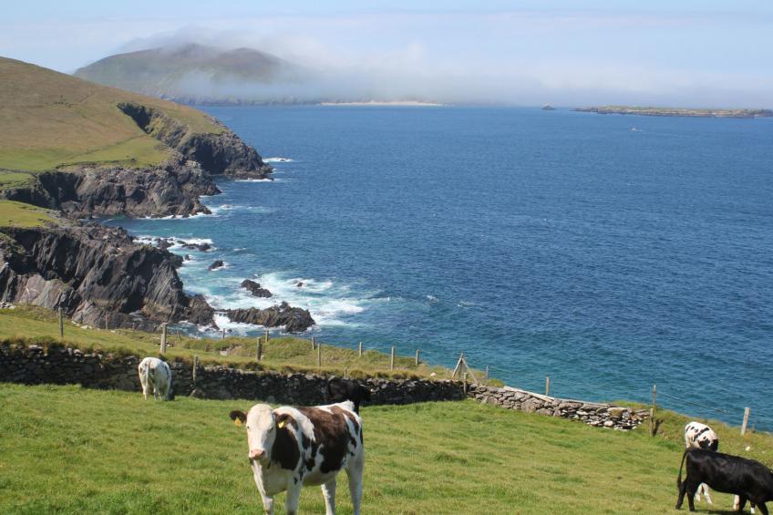 An Searrach Holiday Home Dingle - foto 20