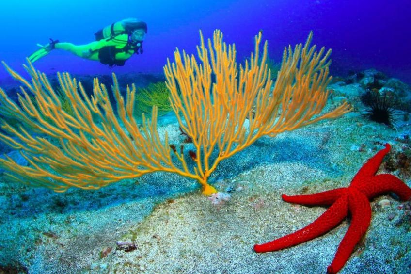 Wohnung "Faro de Sardina" mit Blick aufs Wasser - foto 37