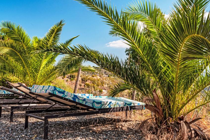 Nido Aguila Blanca - foto 49