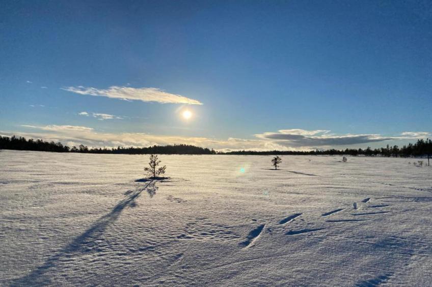 Letafors Herrgård - foto 40