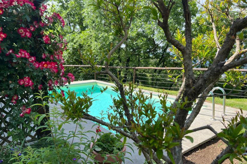 Villa im Grünen Civico 2 in Uzzano - foto 32