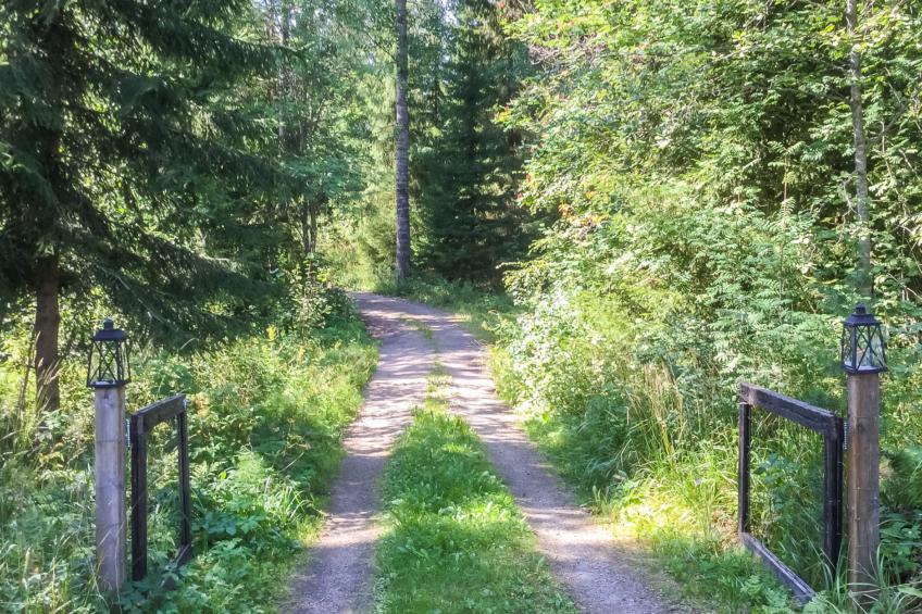 Annelinniemi - foto 24