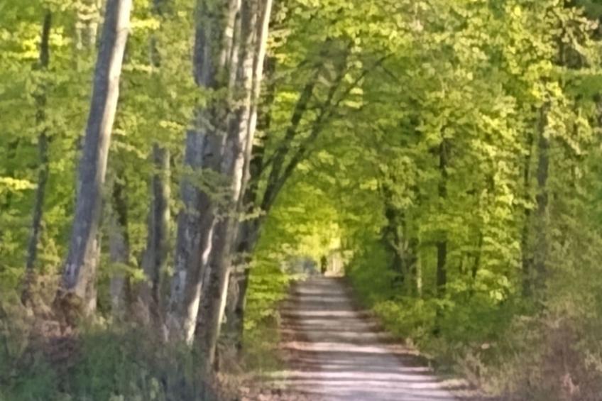 Vogelecke - abseits des Trubels und der Hektik - foto 20