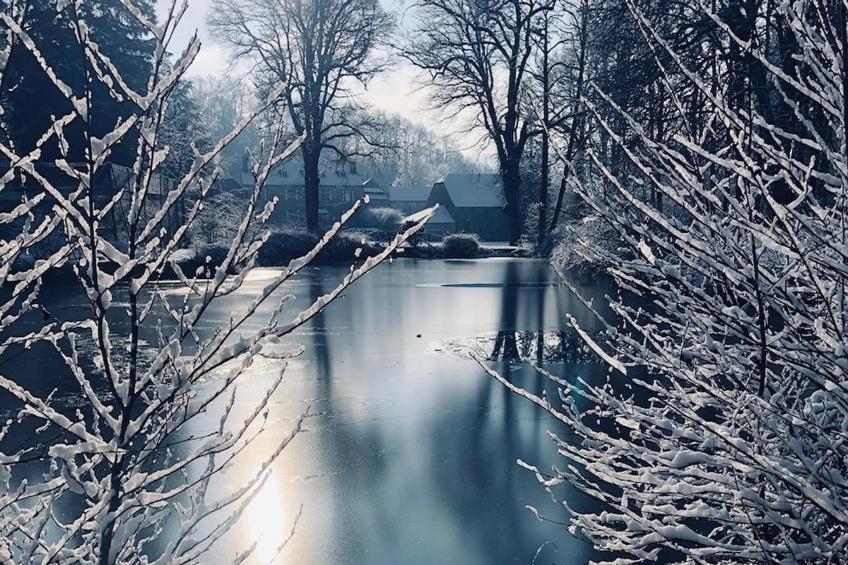 Château de Férot - foto 38