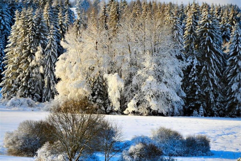 451222 - foto 26