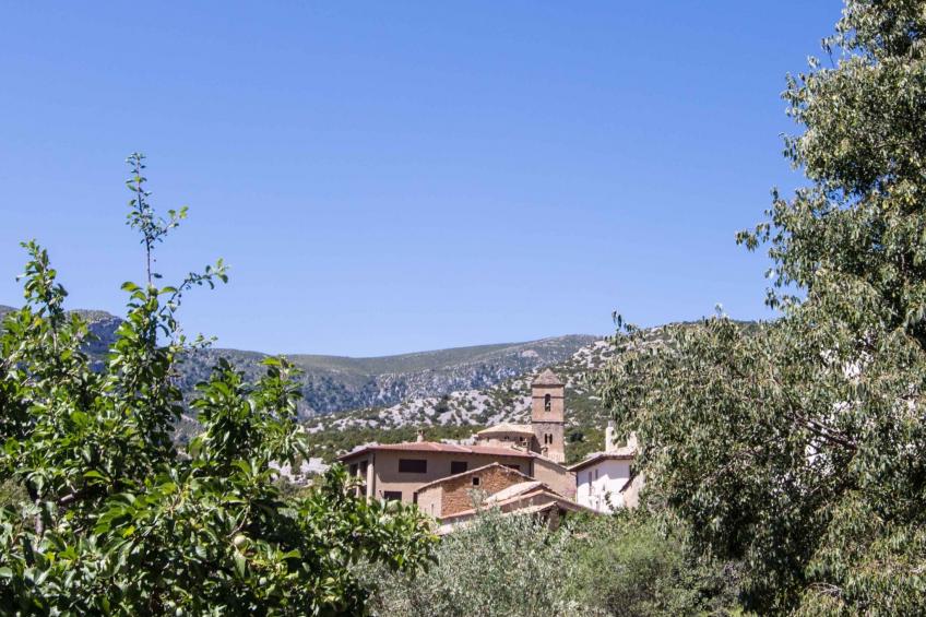 Javier Haus - foto 13