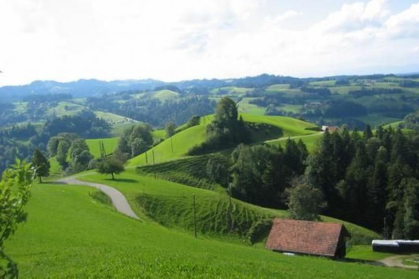 Ober-Tiefenbühl - foto 16