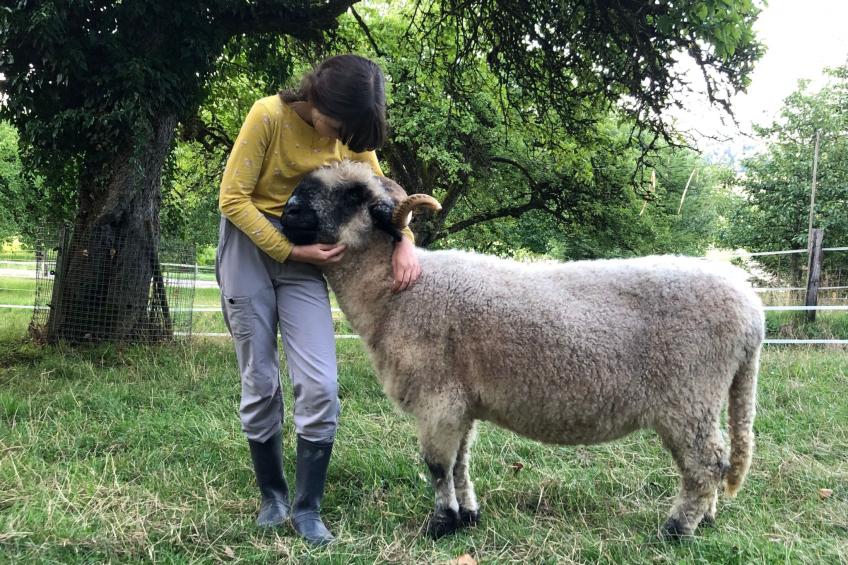 Tieroase Grünegg - foto 26