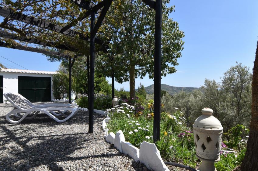 Finca El Corinto - Ein verwunschener Ort - foto 18