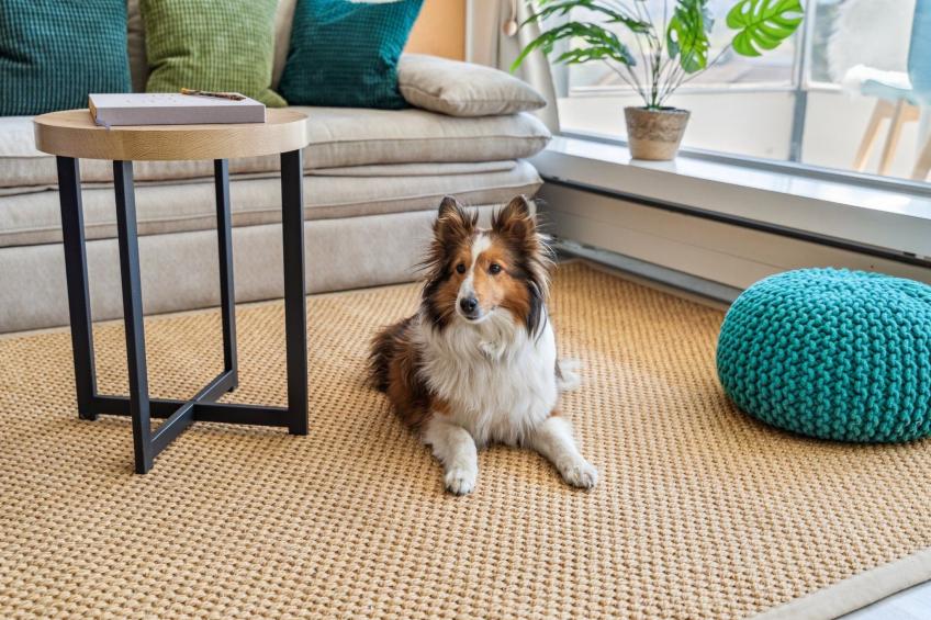 4 Seasons Apartment - foto 11