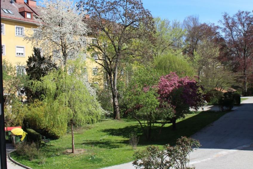 Gemütliche Wohnung in Geidorf mit Garten, Grazer Dom-Nähe - foto 16