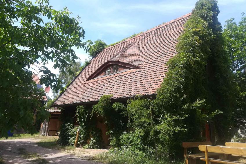 Vakantiehuis Lehmhaus mit Naturbadeteich und Sauna - VW-W25P