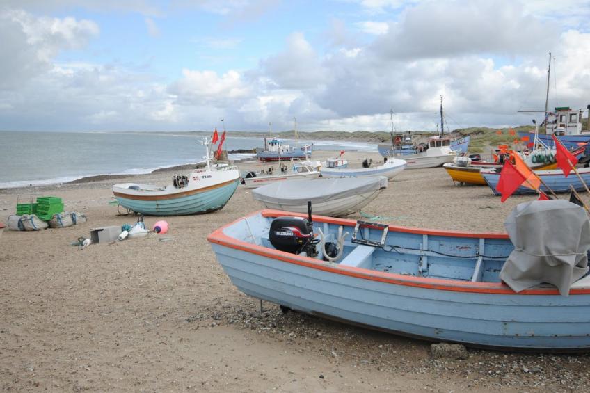 "Solrun" - 1.1km from the sea in NW Jutland - foto 27