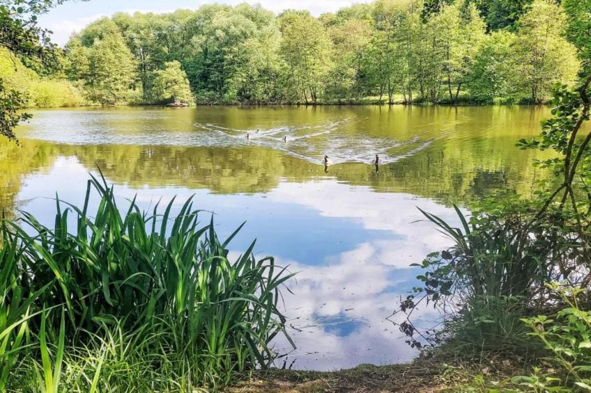 Am Sternberg - foto 37