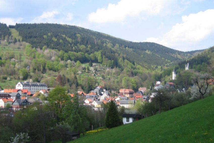 FeWo Panorama - foto 36