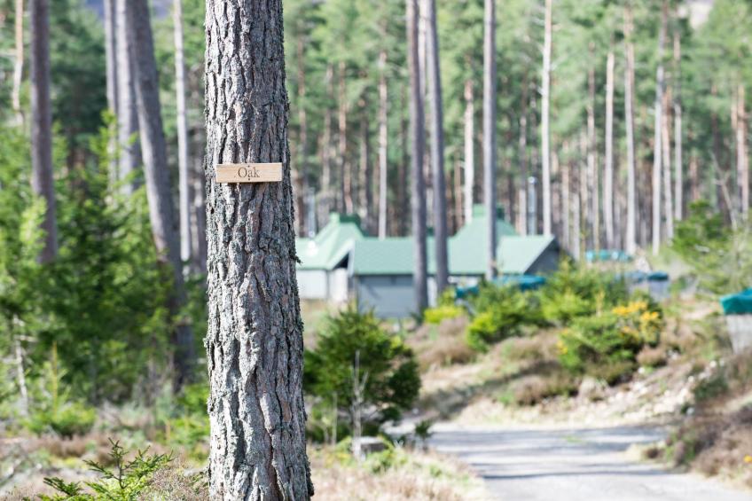 Oak Bothy - foto 15