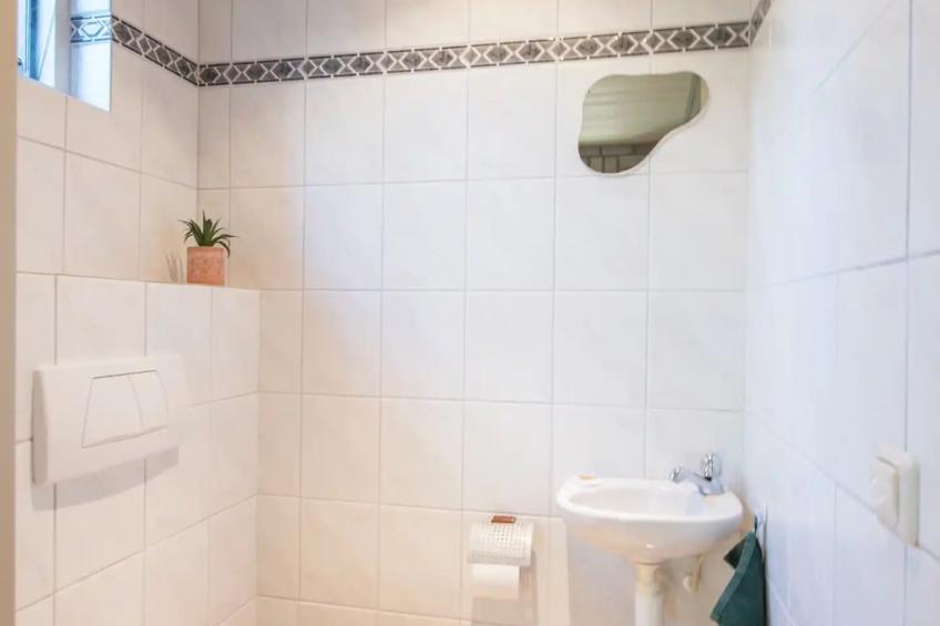 De Rode Ibis - foto 9