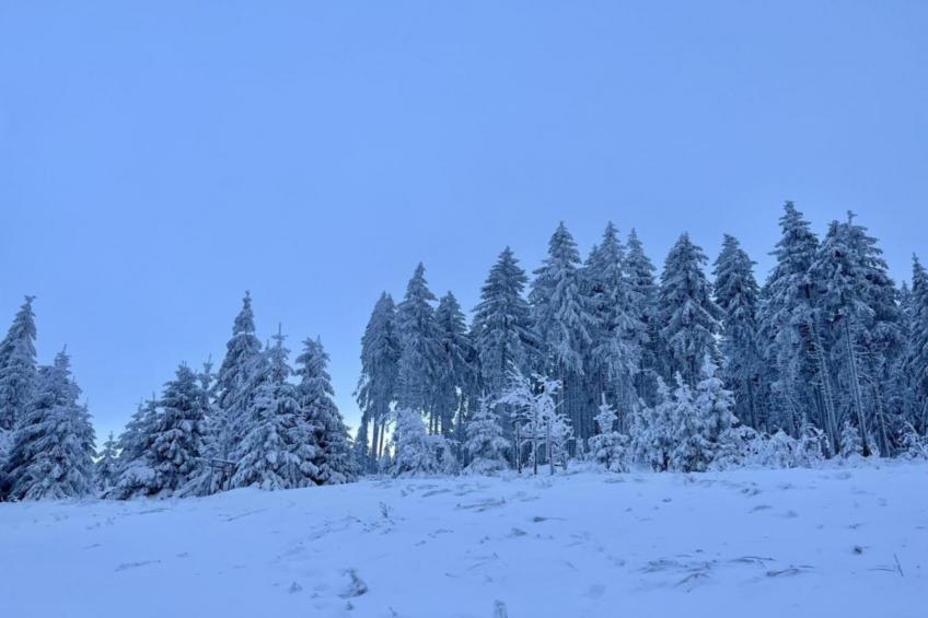 Ferienhaus Anna - foto 29