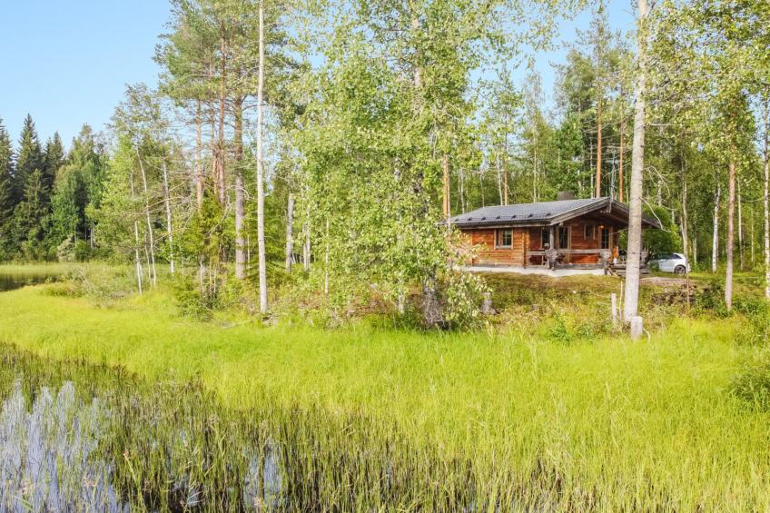Niemenkärki, vaikon loma ja lohi - foto 24