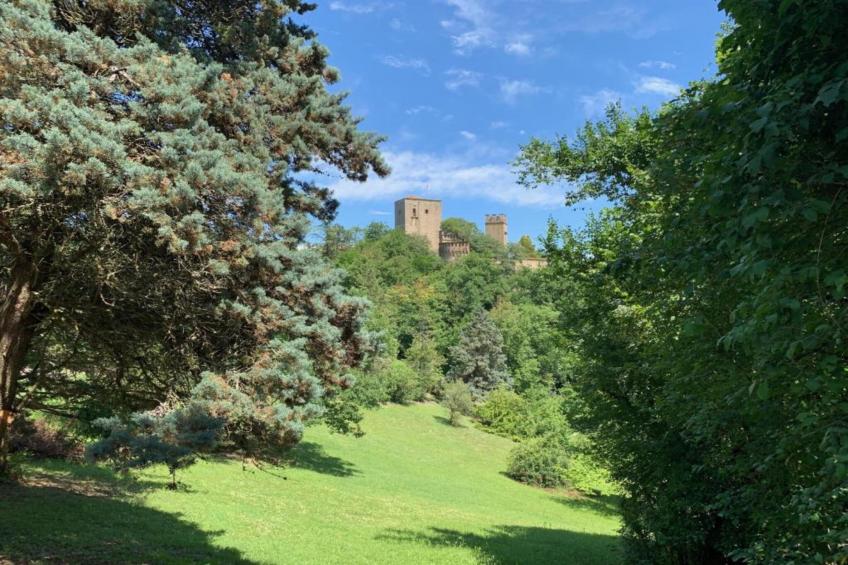 Villa Carpaneto - foto 24