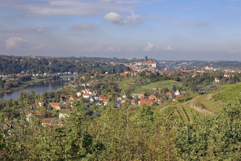 275017 - foto 29