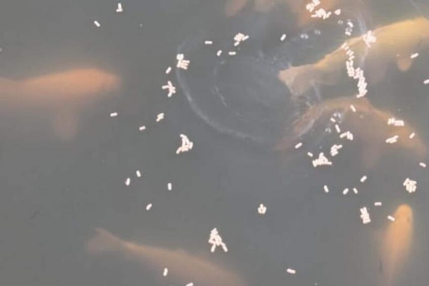 Lodge Sur L'eau En Dordogne - foto 19