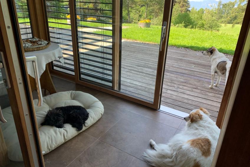 Chalet "Rennweg 114" mit Sauna - foto 88