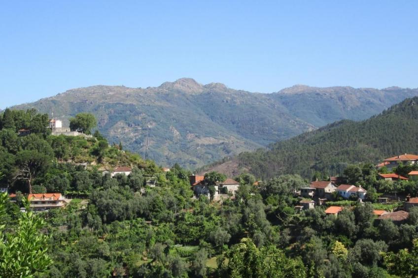 Casa de Casarelhos - foto 30