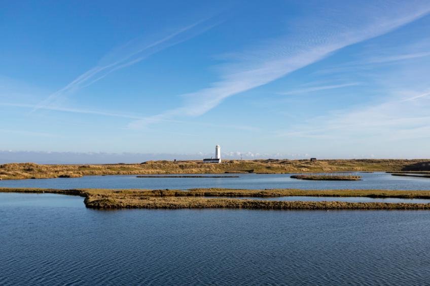 The Lighthouse Hide - foto 7