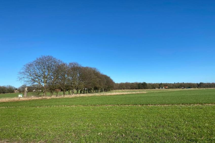 Buitenplaats Holten 16 - foto 26