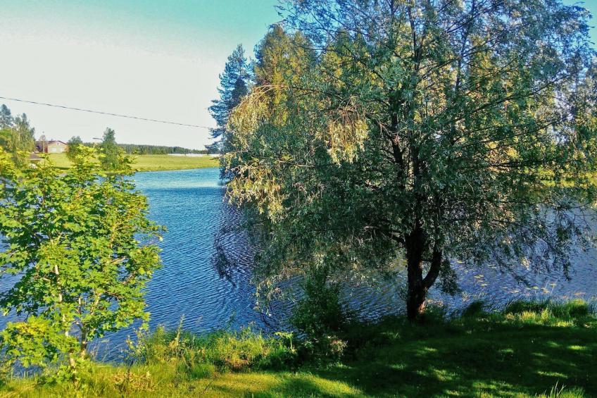 Sillankorva - foto 23