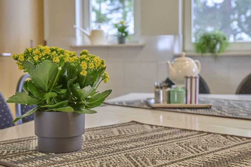 t Achterhoes - foto 30