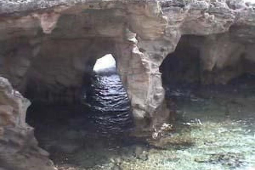 Girasoli in Tricase Porto - foto 35