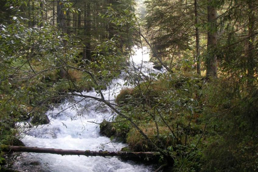 Haus "Hermann" - foto 38