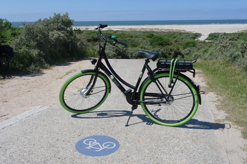 Duinhoeve Chalet Vogel - Huisdier niet toegestaan - foto 26