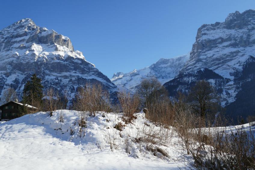Blaugletscher - foto 17