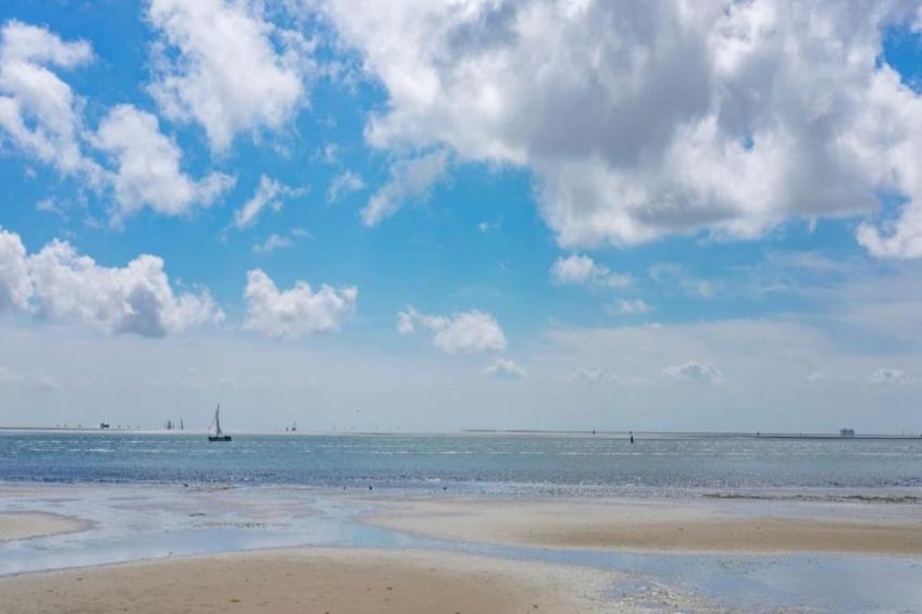 Duindroom op Terschelling - foto 37