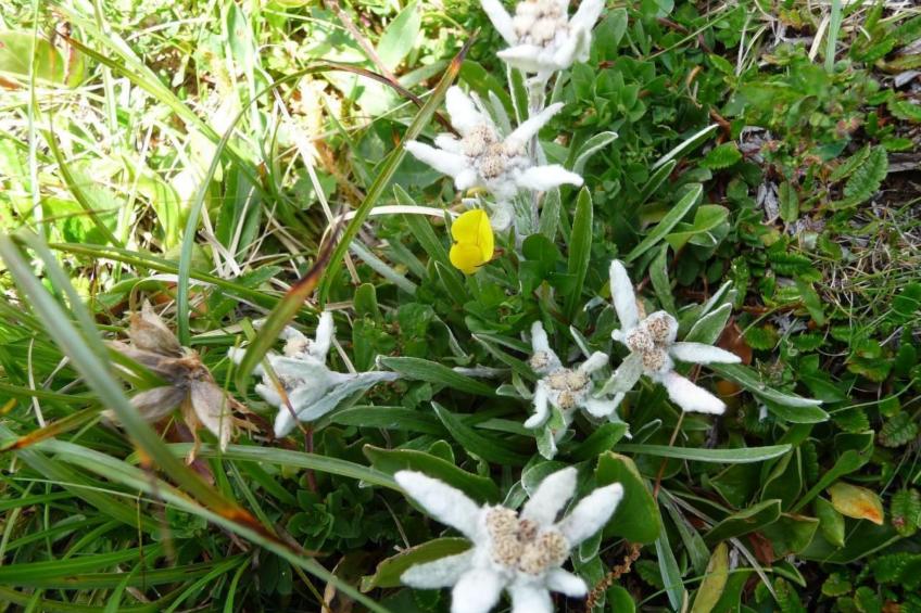 FEWO Gartenblick - foto 23