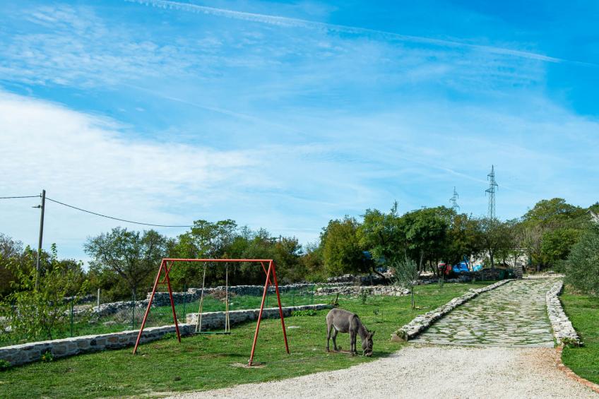 Country House Irena with pool - foto 47