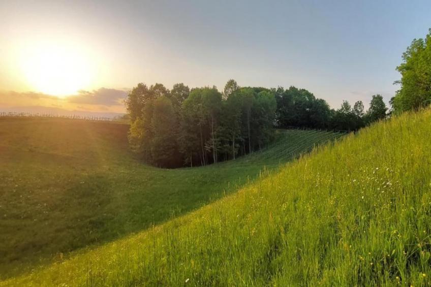 Cason sul Piave - foto 40