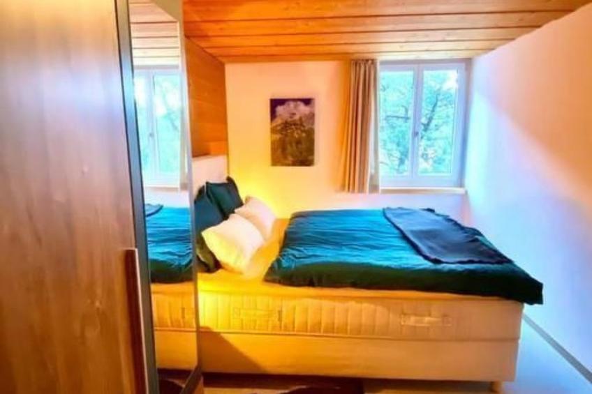 Aareschlucht - Erholung ab 2 Nächten - foto 19