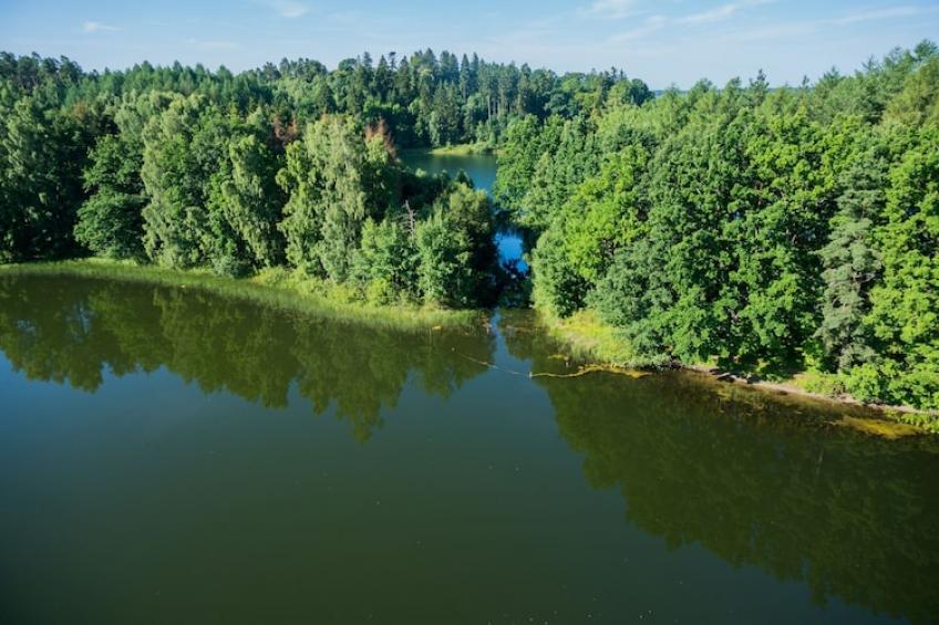 Domki letniskowe Dąbie - foto 16
