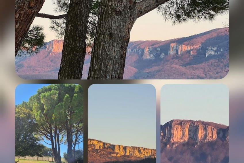 Charmante Ferienwohnung La Martinelle - foto 27