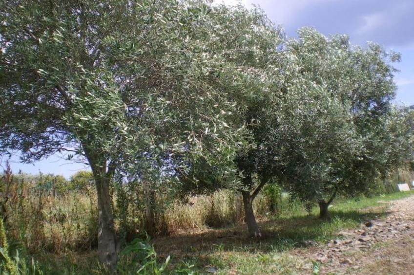 Modernes Ferien-Landhaus - foto 9