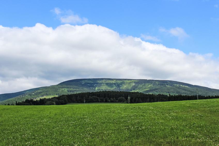 Happy Hill - foto 47